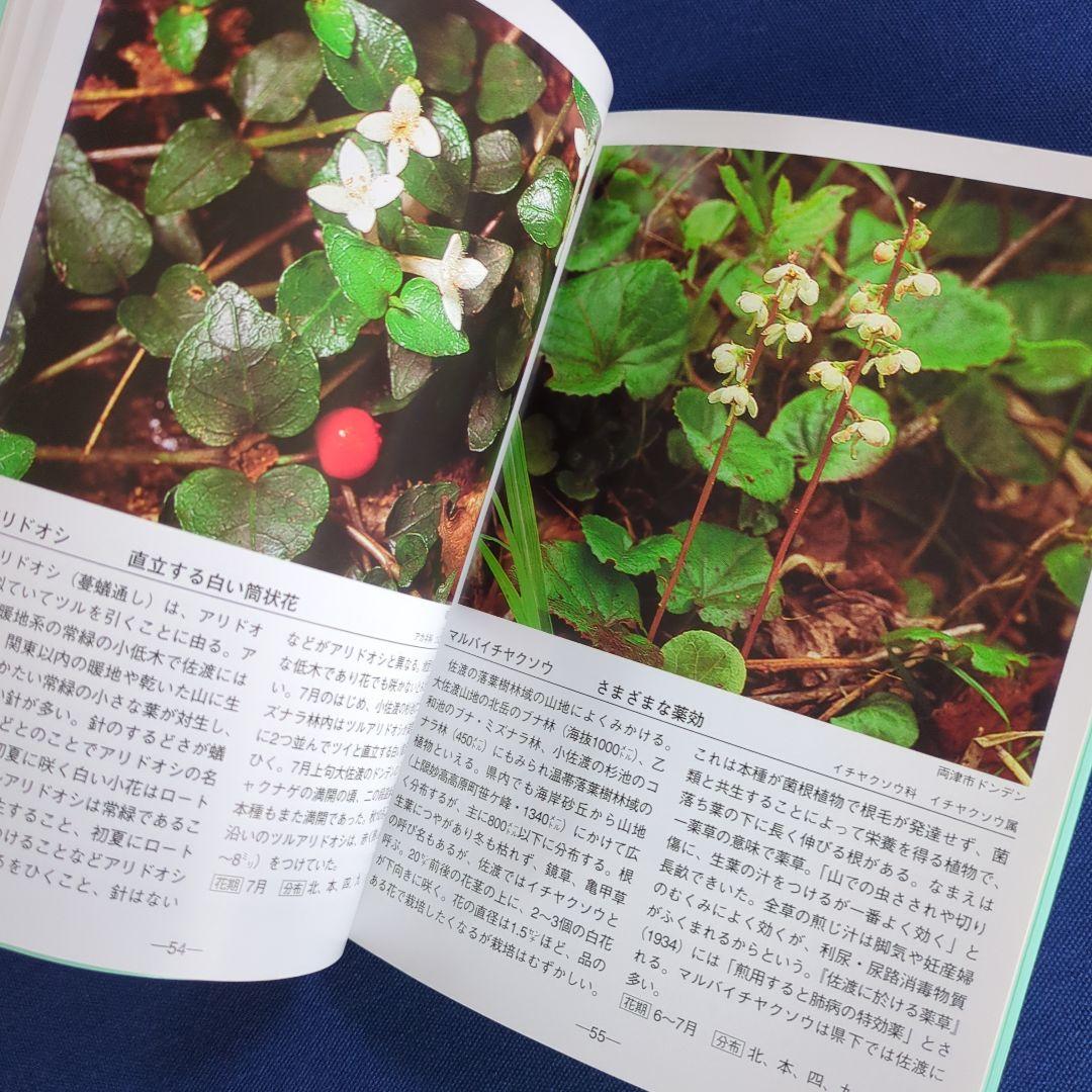 佐渡の花 携帯版 改訂版（植物の種類と色別の花の情報ガイドブック）オールカラー