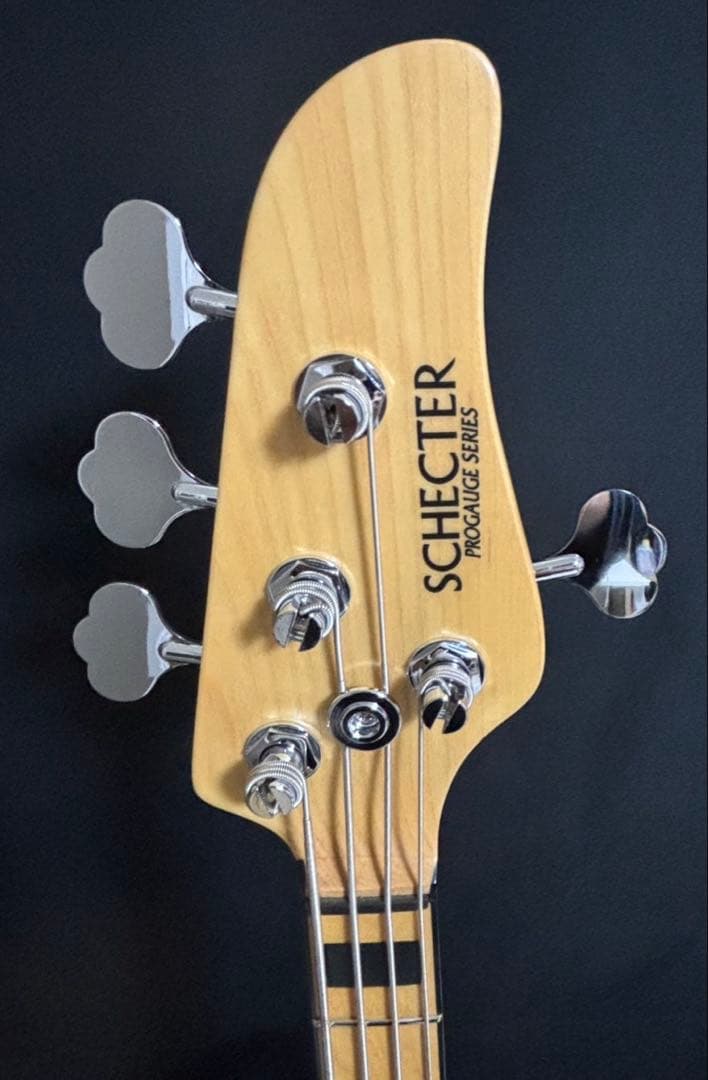 SCHECTER TOMOHIRO FACT シェクター　ベース