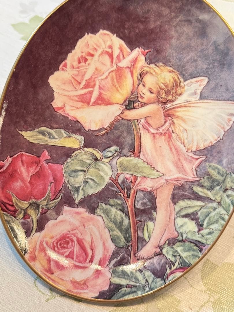 【美品】ロイヤルウースター絵皿 ローズフェアリー