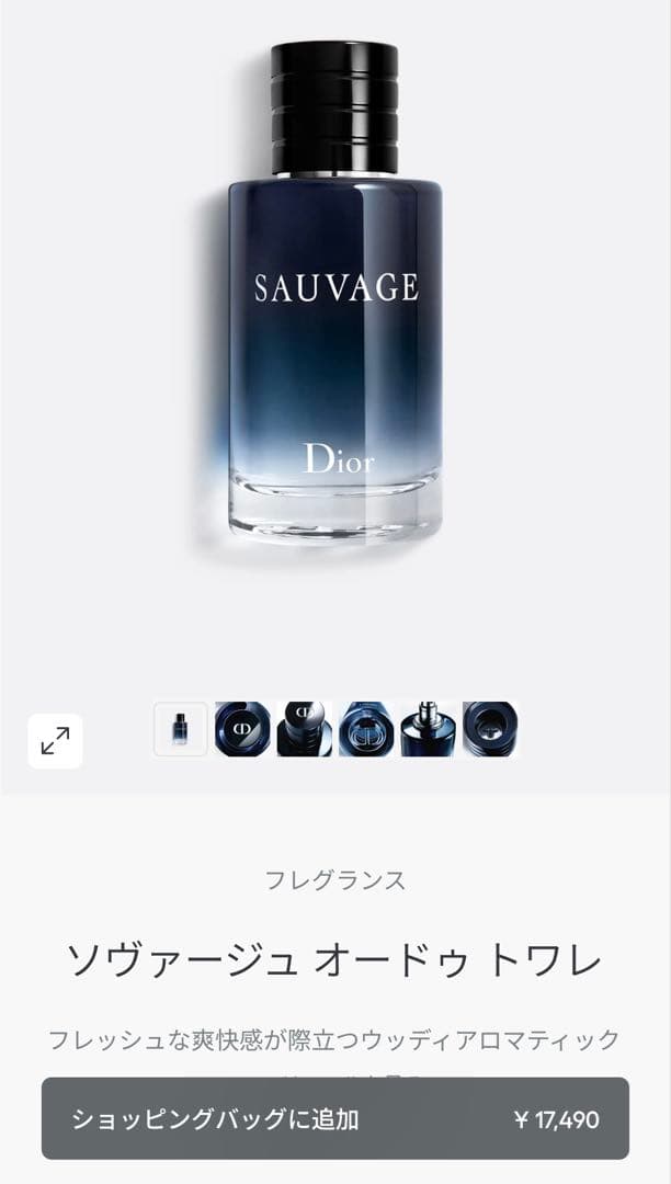 美品　国内正規品　ディオール　ソヴァージュ　オードゥトワレ100ml 値引❌