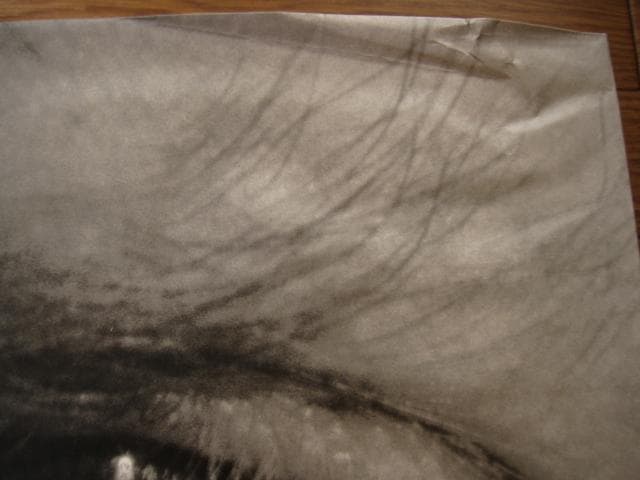 MAPPLETHORPE　ロバート・メイプルソープ