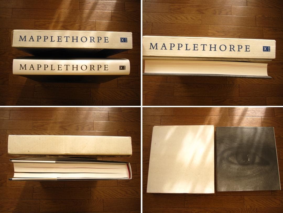 MAPPLETHORPE　ロバート・メイプルソープ