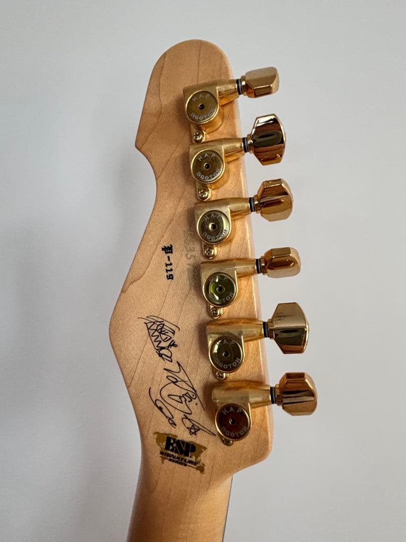 ESP SNAPPER 大村孝佳　Signature Model