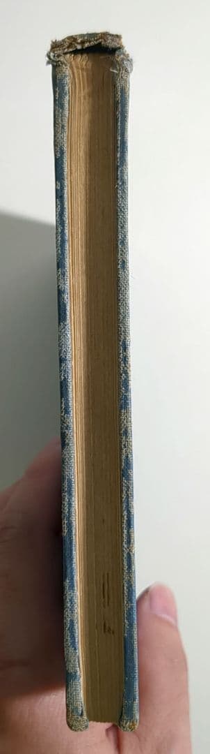 洋書 Interstellar Grains