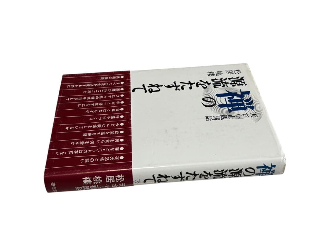 禅の源流をたずねて―天台小止観講話