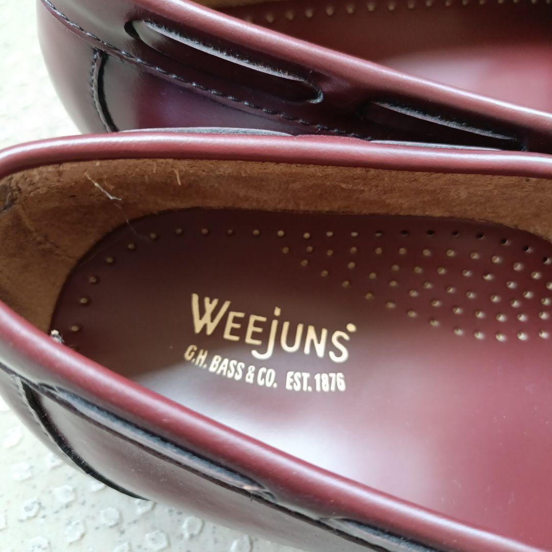 WEEJUNS メンズデッキシューズ　8 1/2 赤茶色