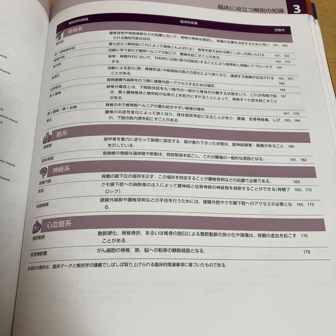 ネッター解剖学アトラス　原書第7版