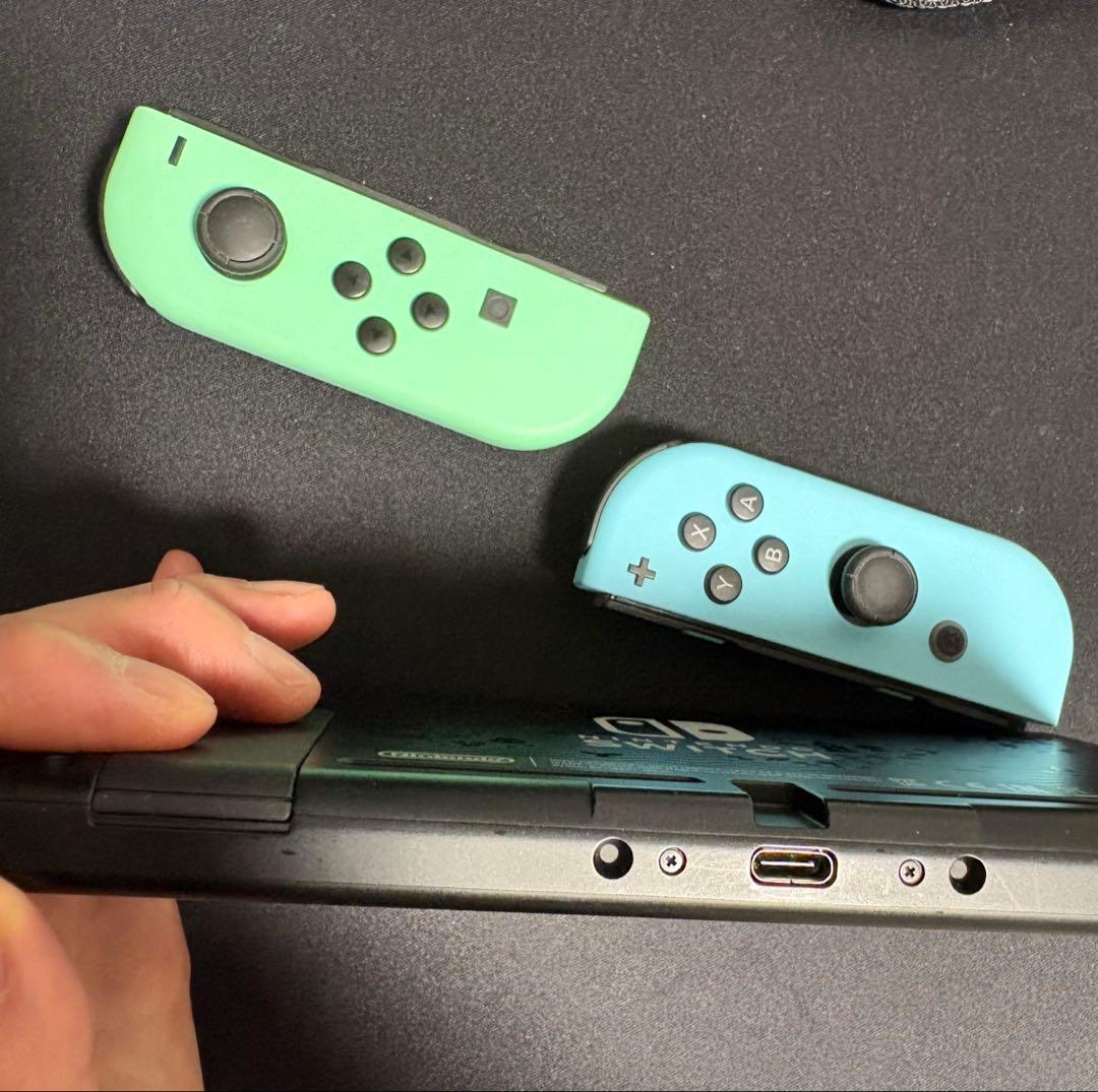 Nintendo Switch どうぶつの森 セット