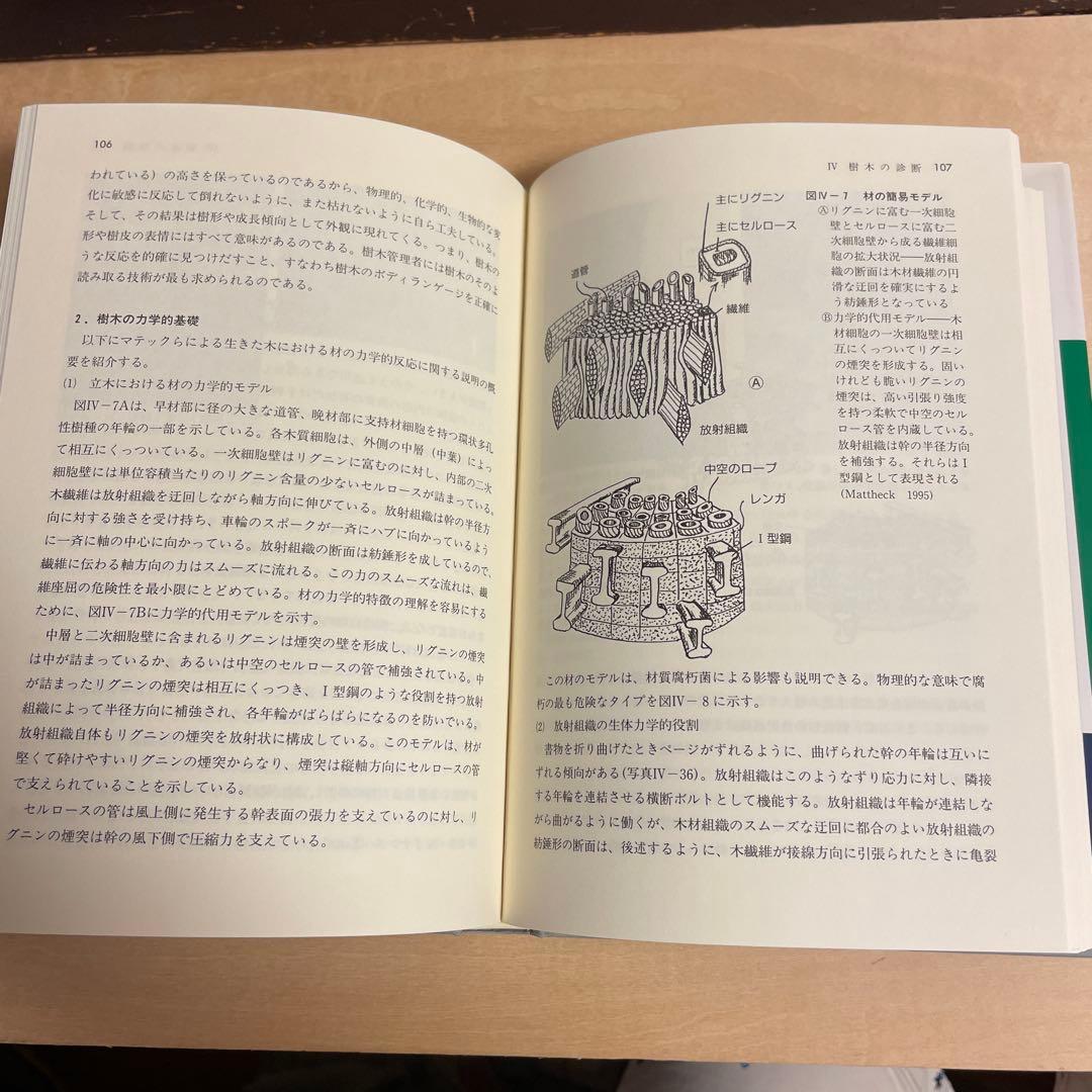 樹木医完全マニュアル