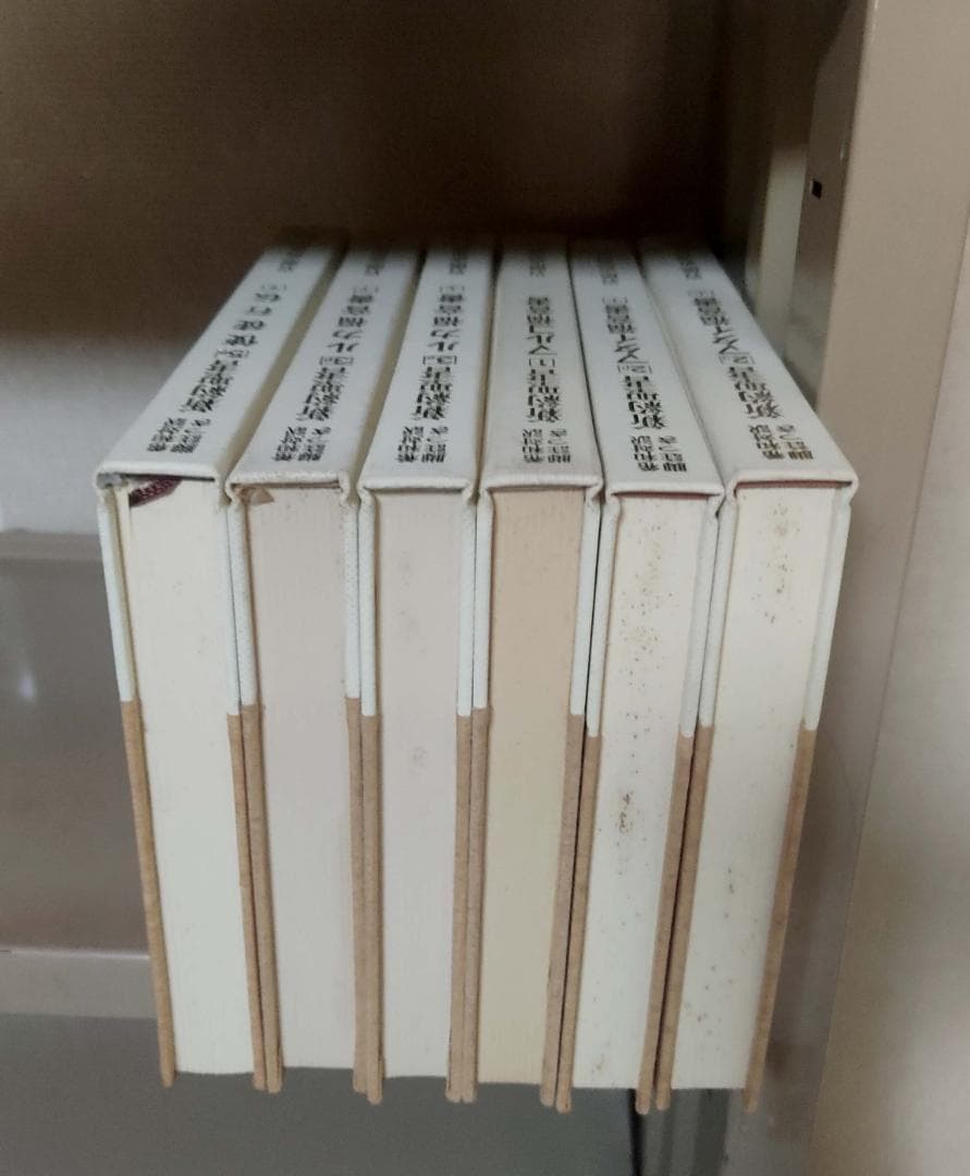 希和対訳脚註つき新約聖書　岩隈直訳註.