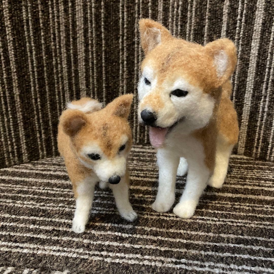 ムラサキキティー