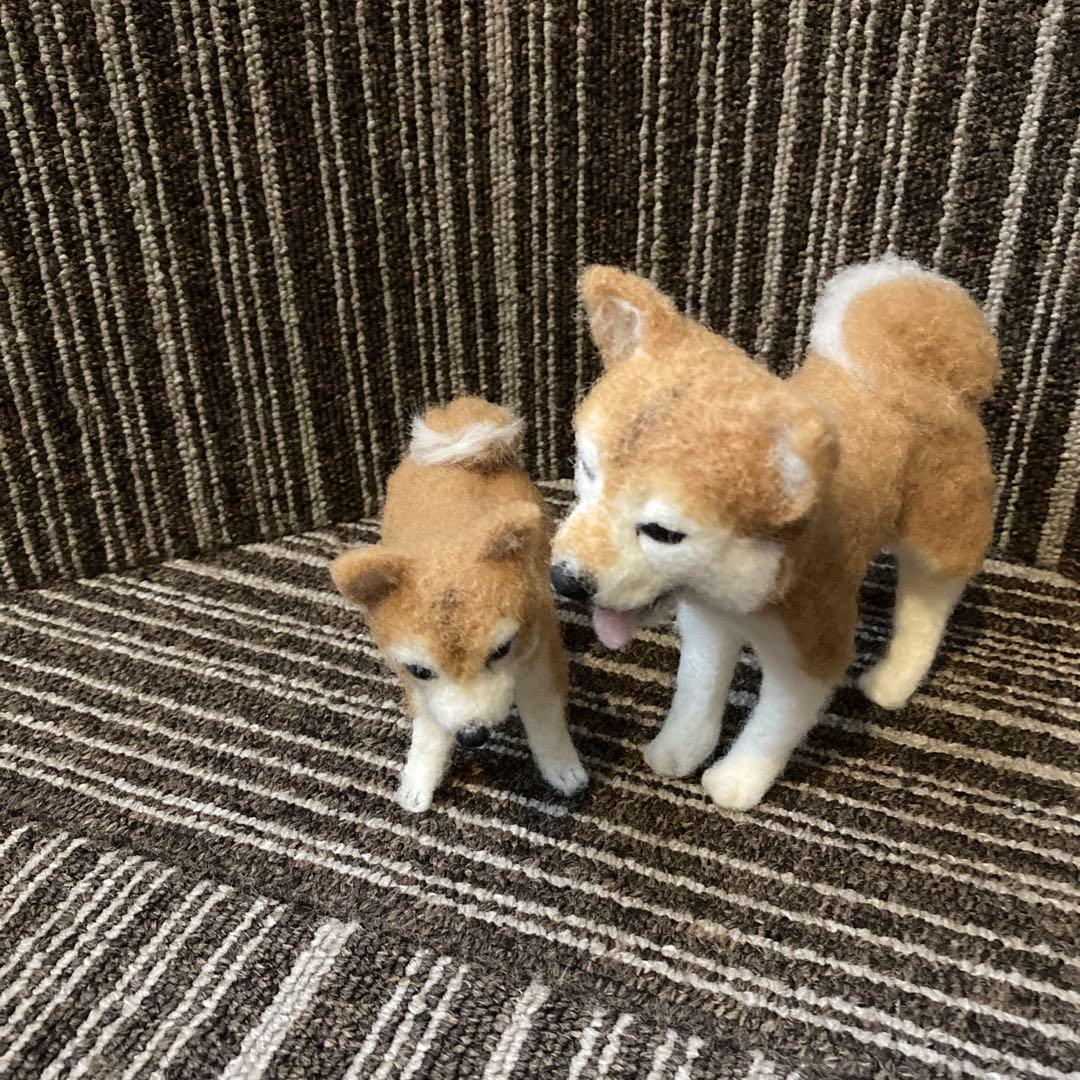 ムラサキキティー