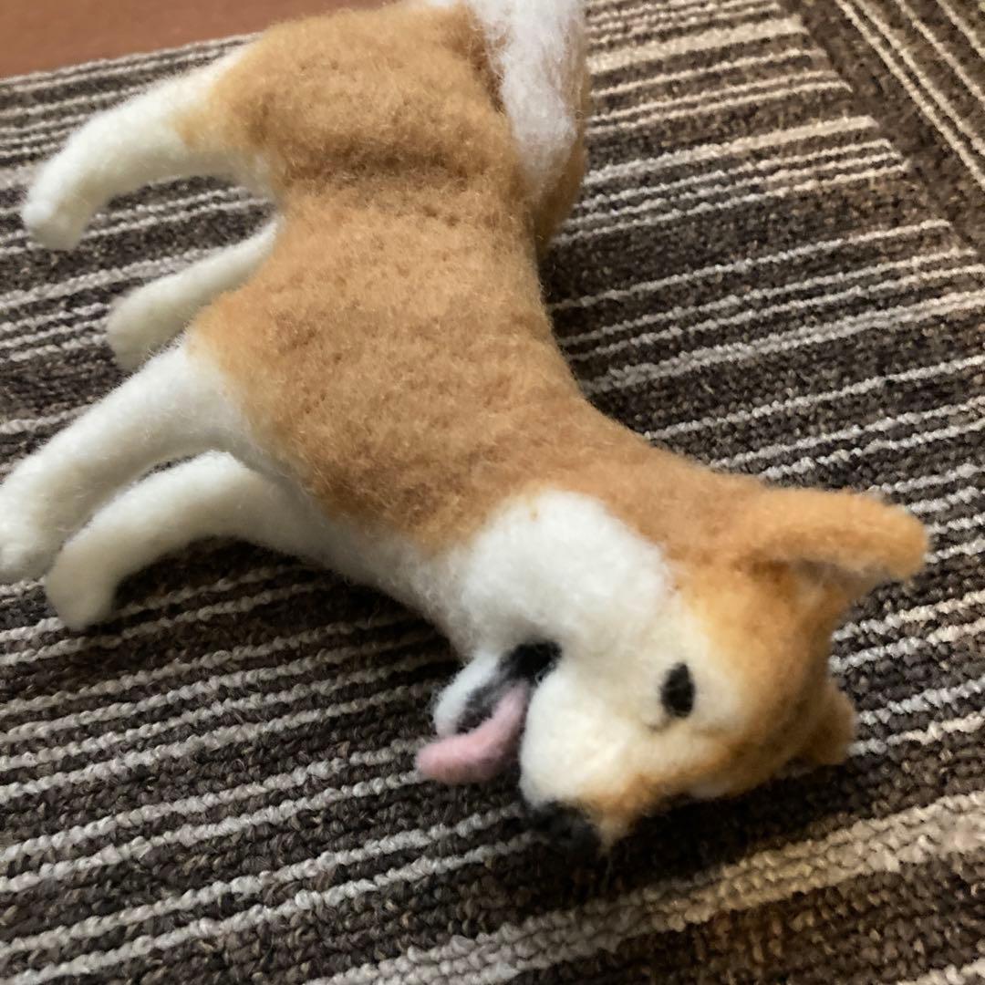 ムラサキキティー