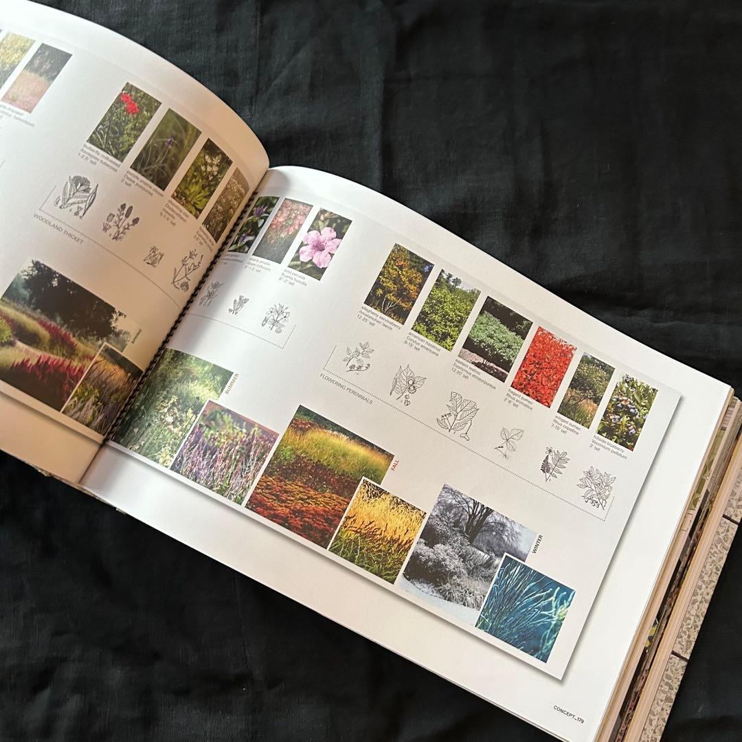 ！別サイトにご注意！！ THE HIGH LINE ／PHAIDON【洋書】