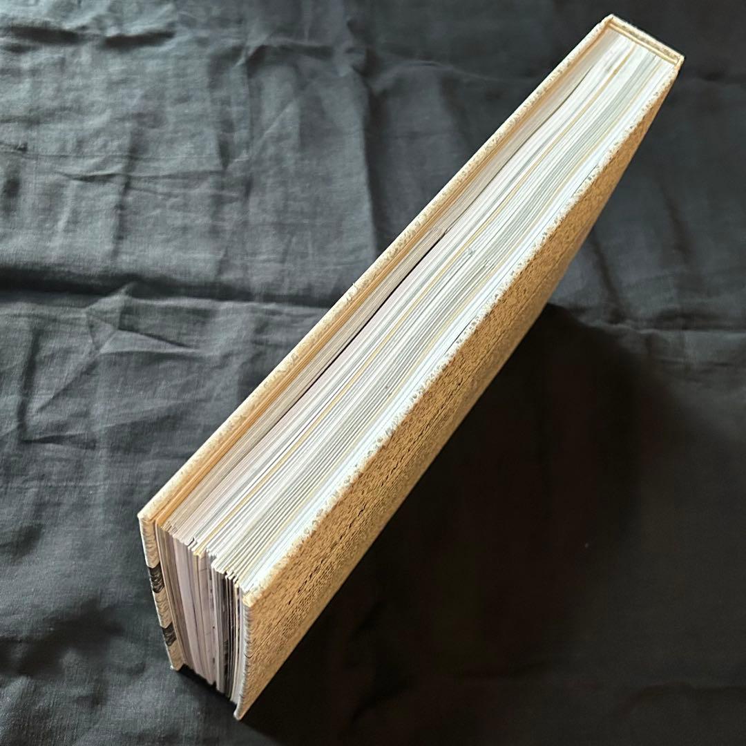 ！別サイトにご注意！！ THE HIGH LINE ／PHAIDON【洋書】