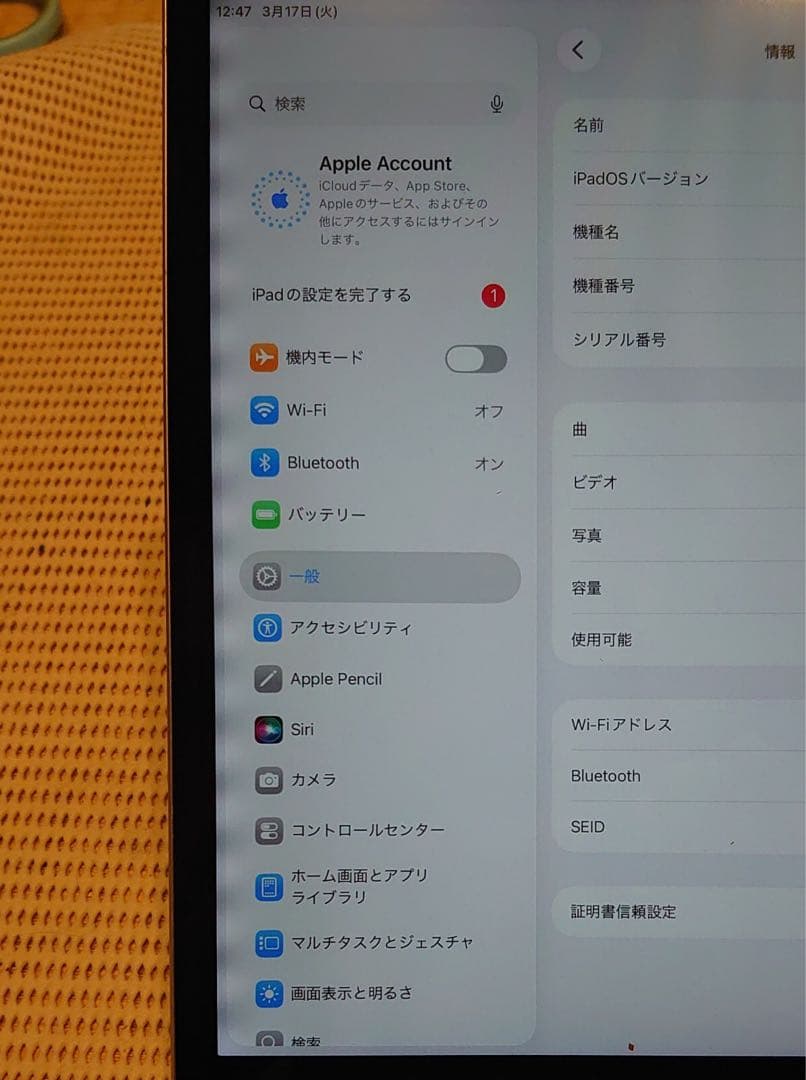 動作品iPad第9世代(A2602)本体64GB送料込ジャンク品MQTX1