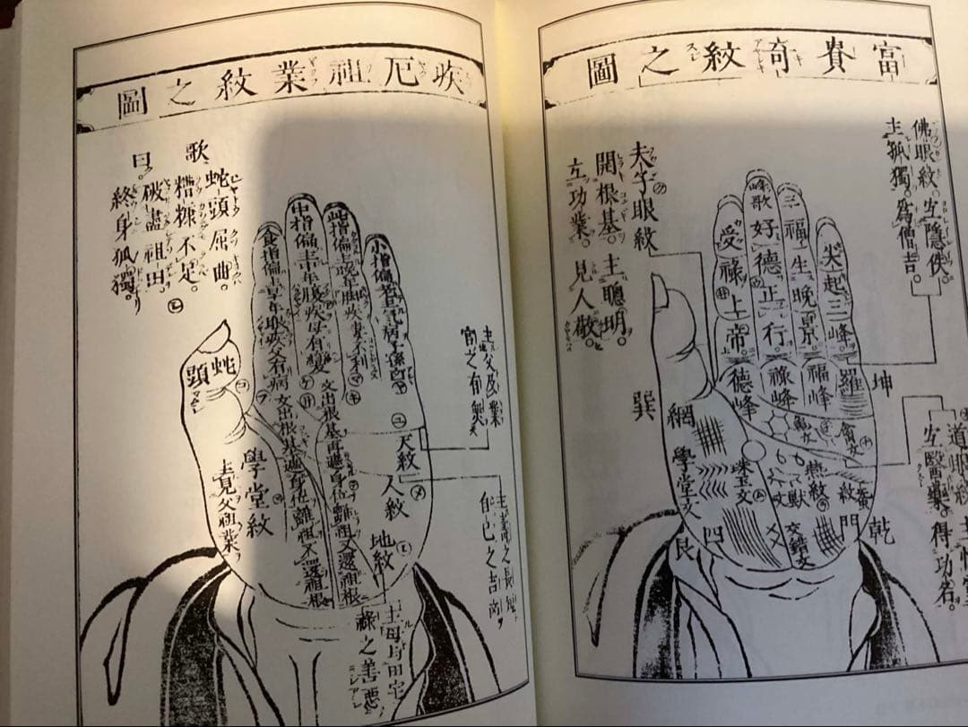 神相全編正義　陳希夷＝原著　石龍子法眼＝編訳　八幡書店