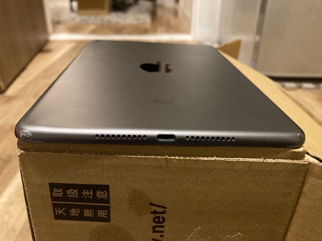 iPad mini 第5世代 64GB Wi-Fi 画面不良（縦線あり）動作OK