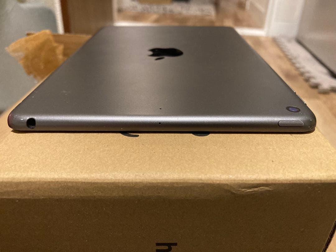 iPad mini 第5世代 64GB Wi-Fi 画面不良（縦線あり）動作OK