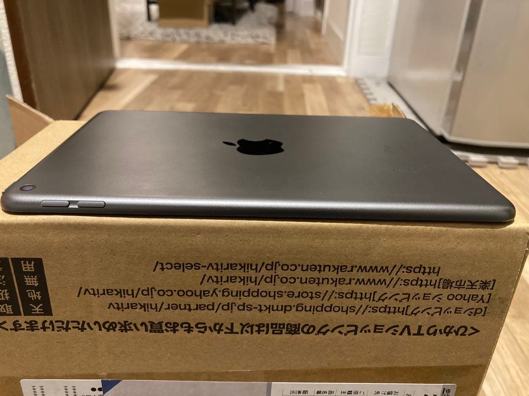 iPad mini 第5世代 64GB Wi-Fi 画面不良（縦線あり）動作OK