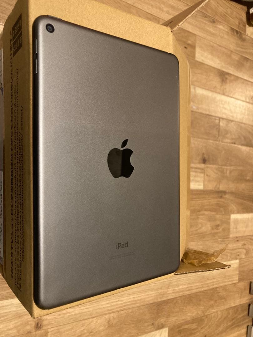 iPad mini 第5世代 64GB Wi-Fi 画面不良（縦線あり）動作OK