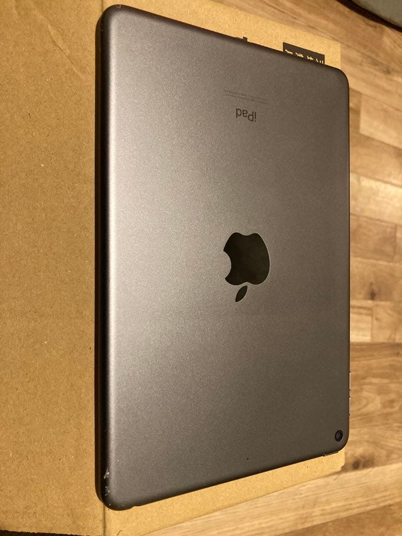iPad mini 第5世代 64GB Wi-Fi 画面不良（縦線あり）動作OK