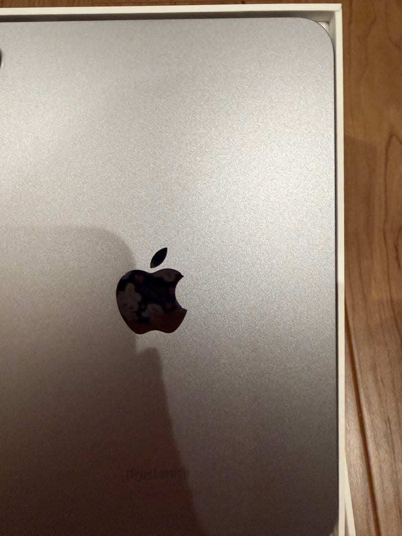 フグアナiPad mini／Wi-Fiモデル256／スペースグレイ第7世代