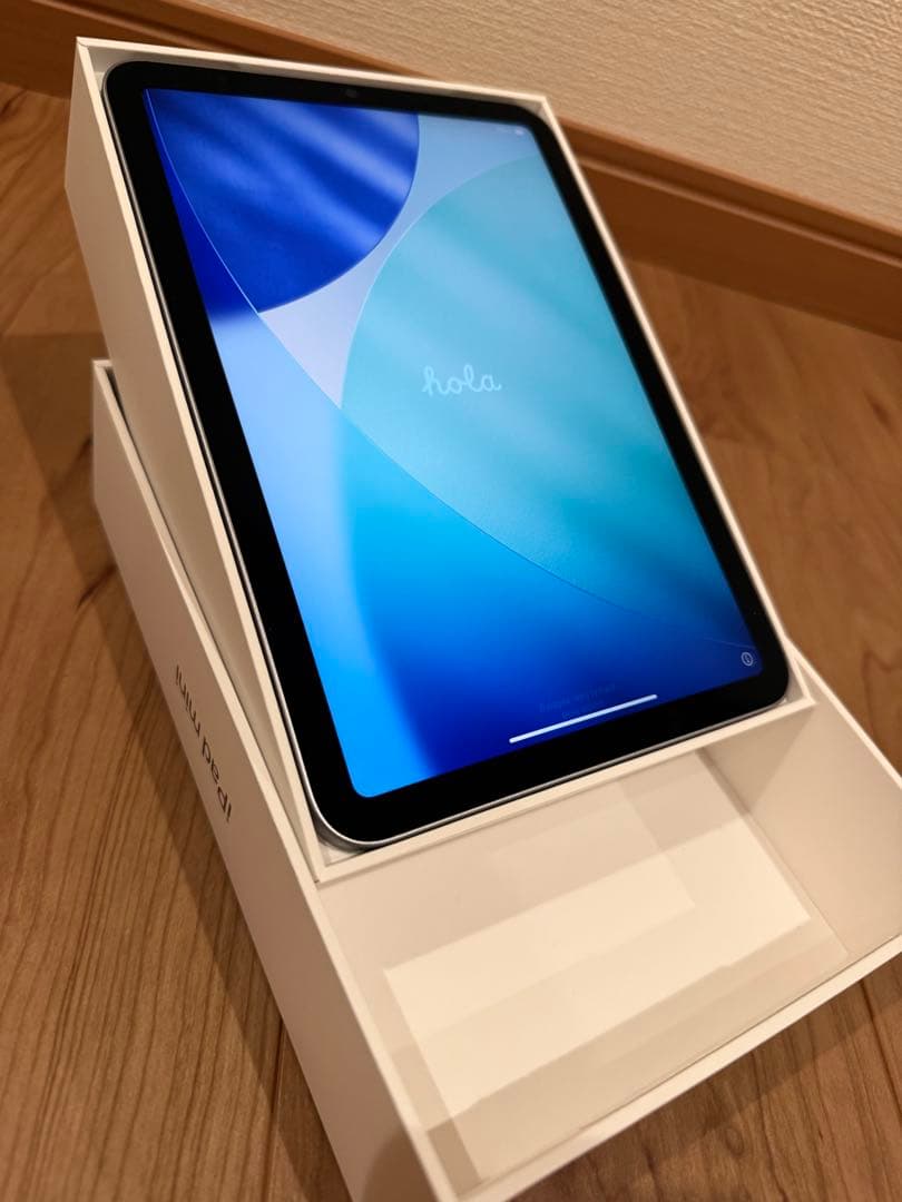 フグアナiPad mini／Wi-Fiモデル256／スペースグレイ第7世代