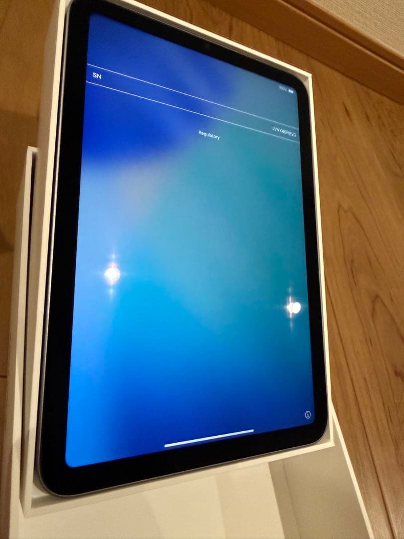 フグアナiPad mini／Wi-Fiモデル256／スペースグレイ第7世代