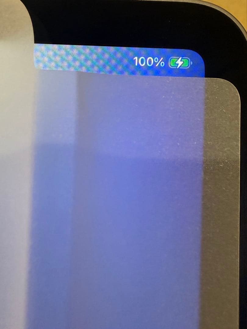 フグアナiPad mini／Wi-Fiモデル256／スペースグレイ第7世代