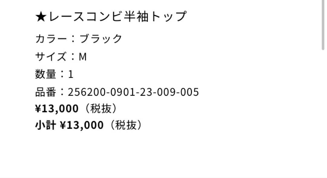 ブラックレース袖トップス