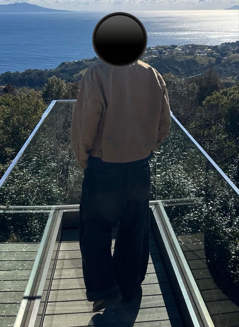 carhartt デトロイトジャケット J01-BRN