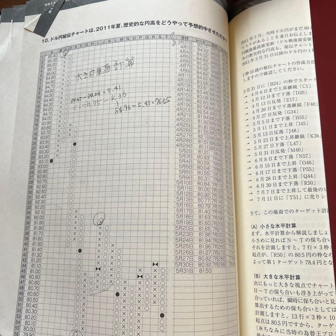 為替王様の勝ち組投資マニュアル