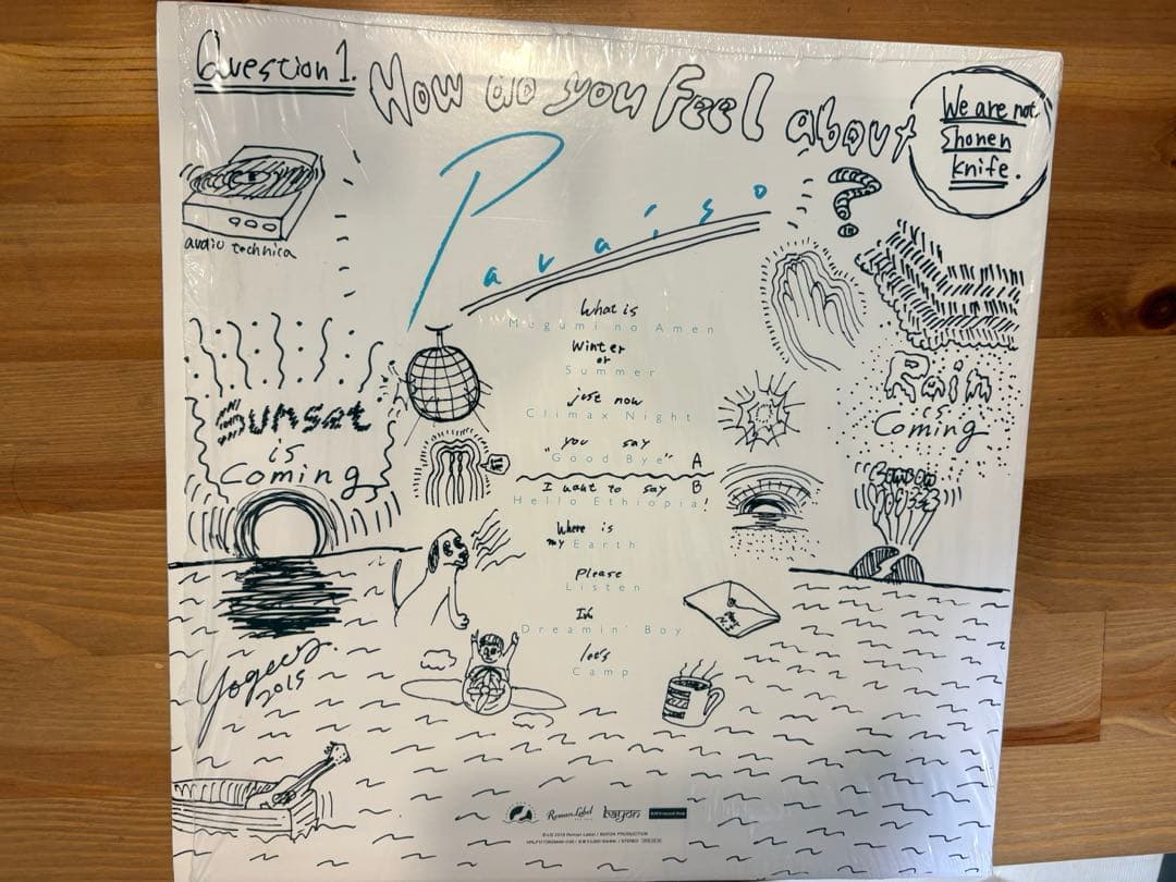 yogee new waves PARAISO LP レコード