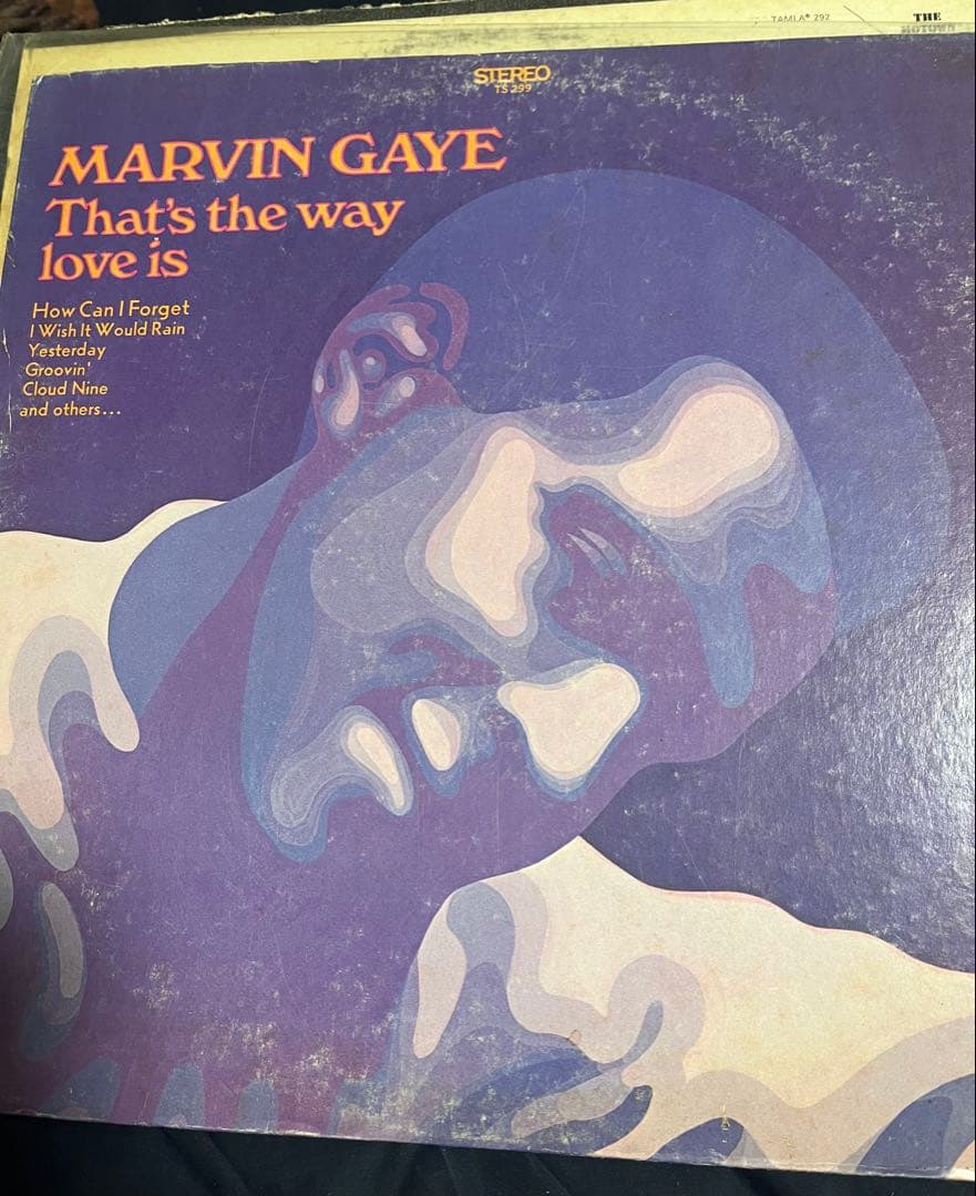 Marvin Gaye That's the Way Love IsとM.P.G