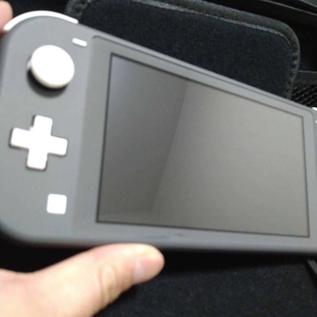 Nintendo Switch Lite グレー ケース付き