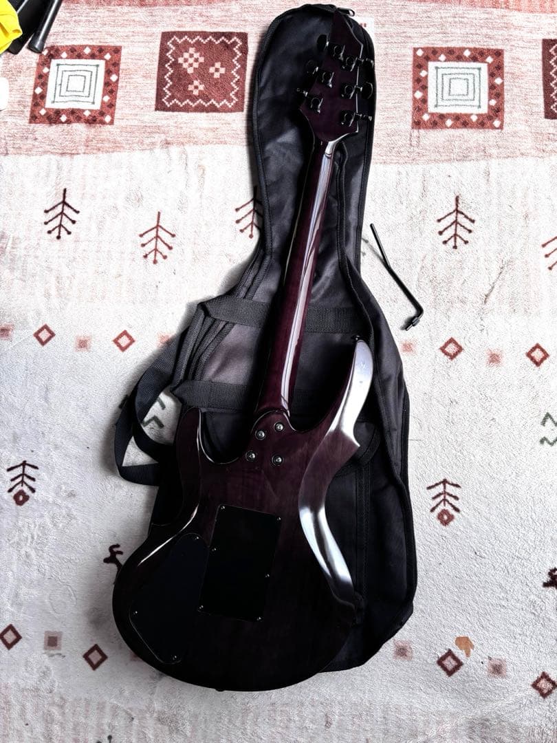 美品！　Grassroots G-TN-58G