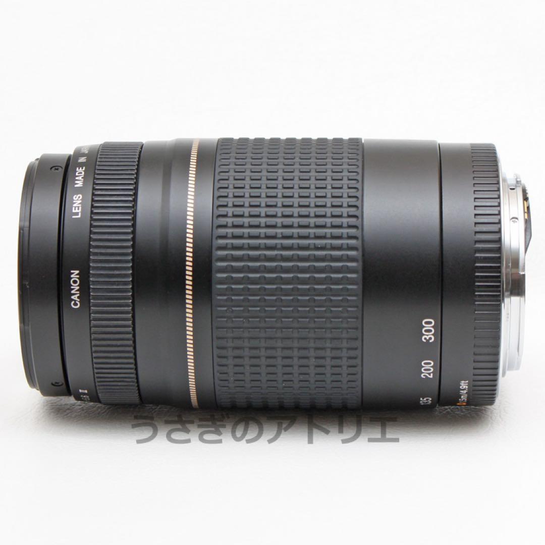 Canon⭐️EF 75-300mm ii USM⭐️キヤノン⭐️望遠レンズ