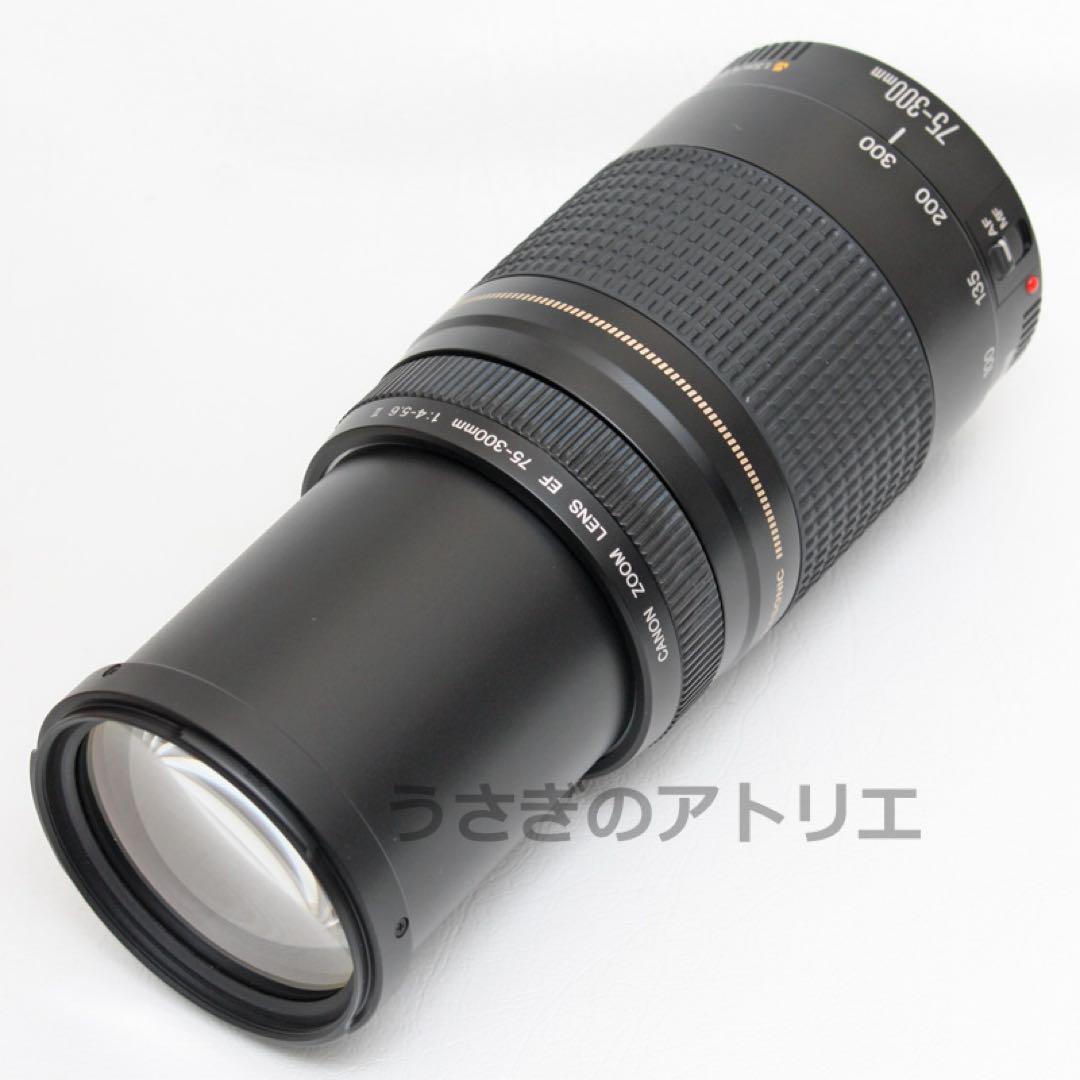 Canon⭐️EF 75-300mm ii USM⭐️キヤノン⭐️望遠レンズ