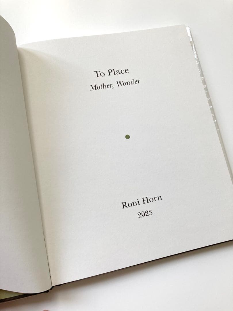 Roni Horn 「 Mother, Wonder」　アイスランド風景写真集