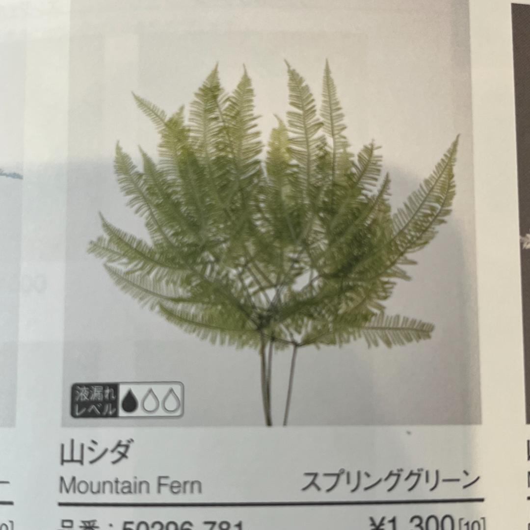 パンパス&ワイルドフラワーのスワッグ・ Lふっくらタイプ　再販多数