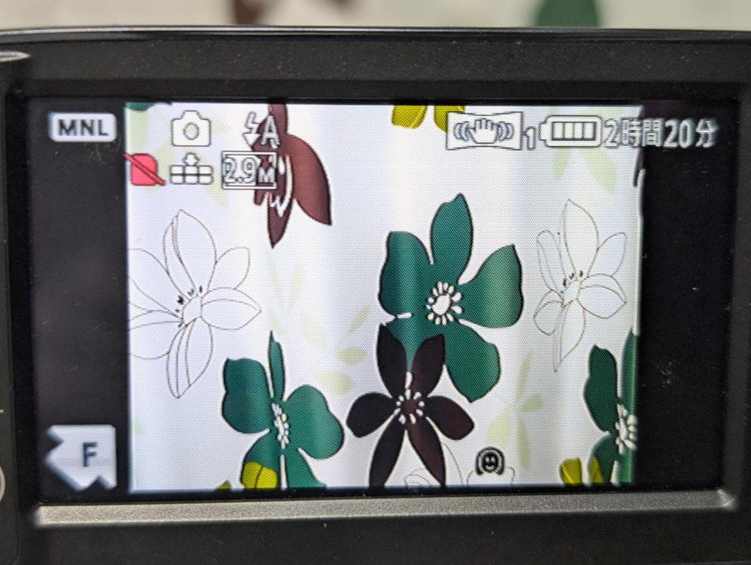 Panasonic HDC-TM35 ビデオカメラ