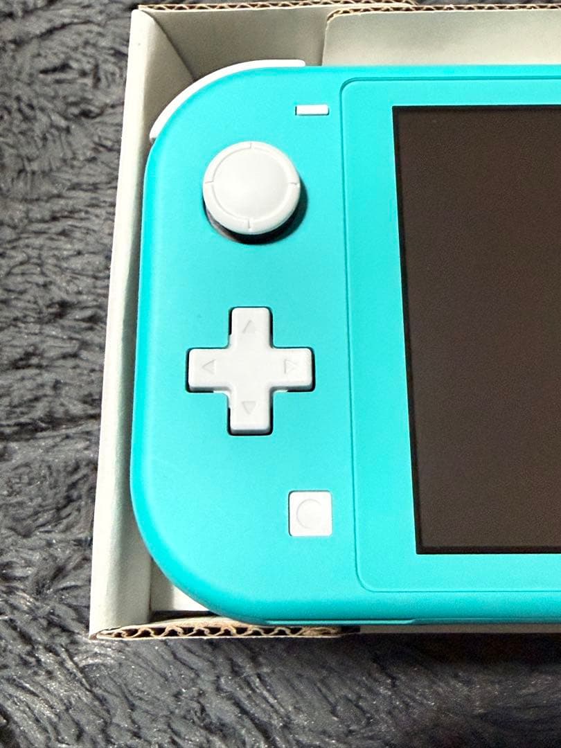 Nintendo Switch Lite ケース付き　スイッチライト