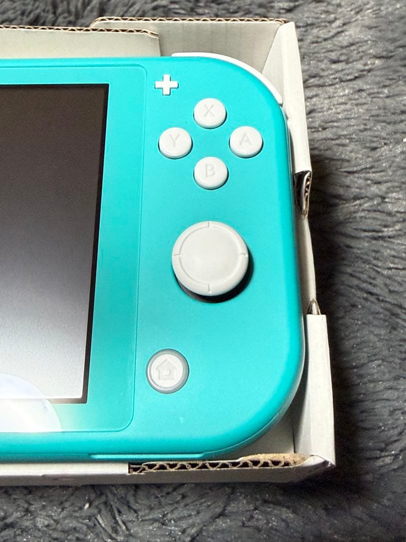 Nintendo Switch Lite ケース付き　スイッチライト