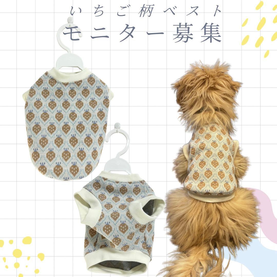 犬服・アクセサリー EDDIE