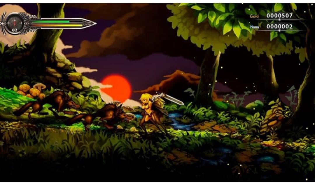 Nintendo Switch Sword of the Vagrant switch
