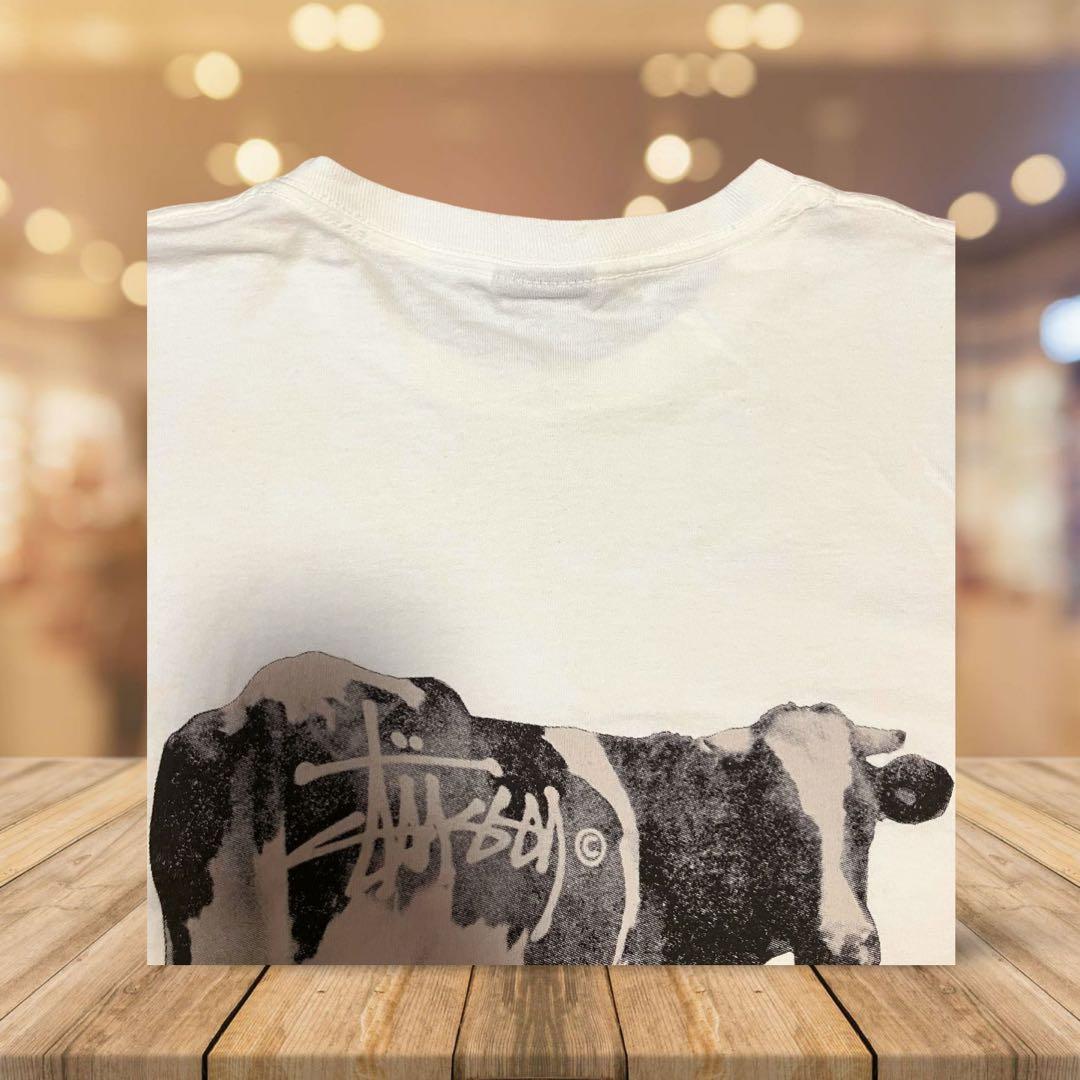 ステューシー　Stüssy グラスフェッド　グラフィック TシャツL 白