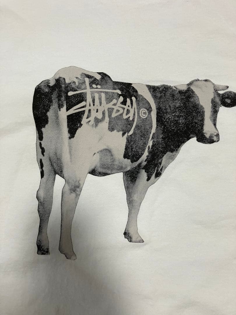ステューシー　Stüssy グラスフェッド　グラフィック TシャツL 白
