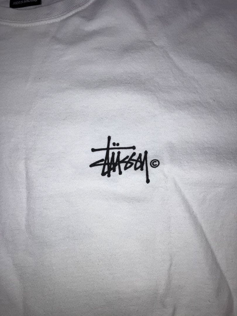 ステューシー　Stüssy グラスフェッド　グラフィック TシャツL 白