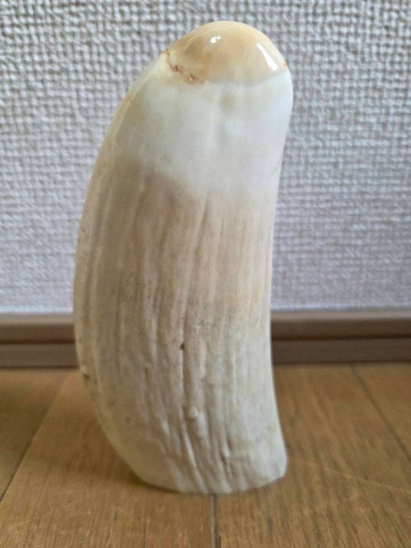 玉峰　クジラの歯工芸品